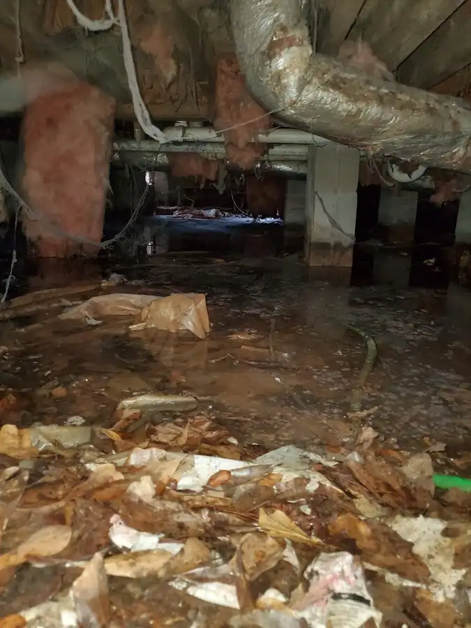 Crawl space flood assessment for Commercial Water Damage Restoration in Mount Airy