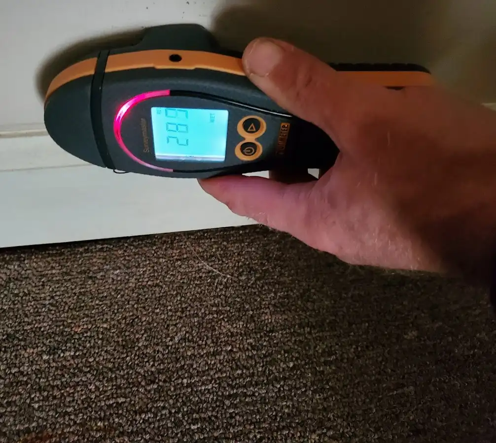 Moisture detection at baseboard during Burst Pipe Cleanup in Mount Airy